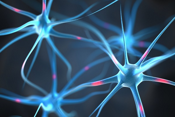 Fortbildung: Die Rolle des Ernährungszustandes bei neurodegenerativen Erkrankungen wie Morbus Parkinson und Amyotropher Lateralsklerose