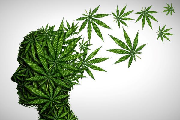 Hope or Hype: Therapie neuropsychiatrischer Erkrankungen mit Medizinal-Cannabis