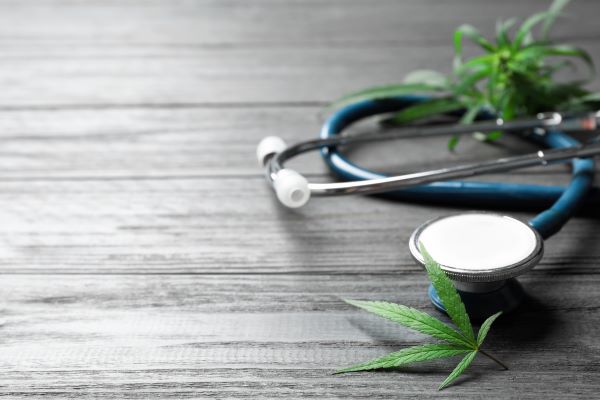 Was kann Medizinalcannabis leisten in der Palliativmedizin? Vorstellung in Theorie und Praxis bei Erwachsenen