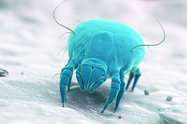 Fortbildung: Allergenimmuntherapie im Fokus: Qualität, Quantität und klinische Schnittstellen