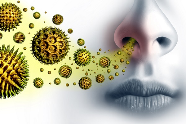 Allergologie 2026: Diagnostik, Therapie & Leitlinienkompetenz