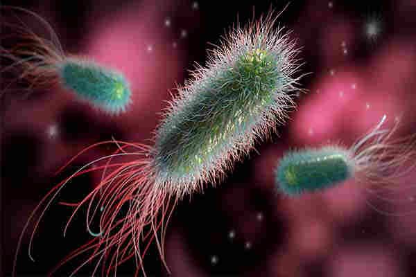 Antibiotika in ambulant operierenden Zentren – Refresher (kostenpflichtig)