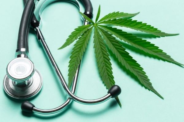 Cannabis-Konsil „Schmerz“ u.a. Indikationen