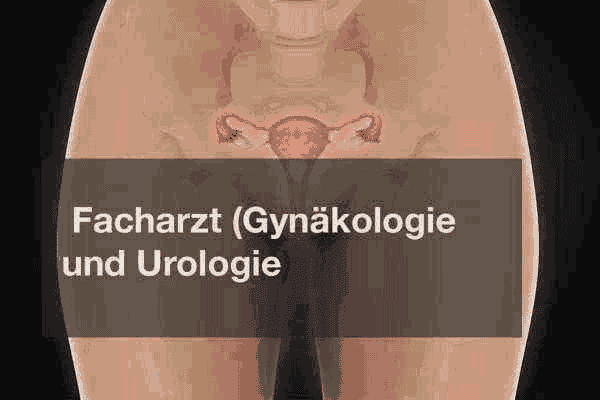 Update – Privatabrechnung GOÄ für Gynäkologie und Urologie