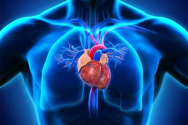 Übersicht Dyspnoe – wann ist es kardial, wann pulmonal?