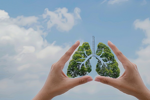 Fortbildung: Die Klimakrise – welche Auswirkungen hat sie auf kindliche Allergien und welcher Schutz ist möglich?