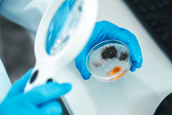 Fortbildung: Neues in der AWMF-Schimmelpilzleitlinie „Medizinisch klinische Diagnostik bei Schimmelpilzexposition in Innenräumen“ Update 2023″