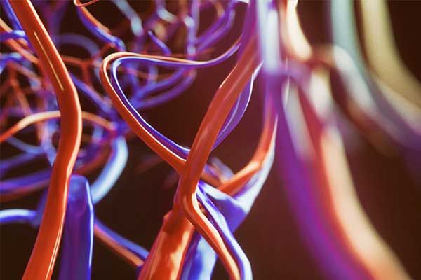 Obstruktive Schlafapnoe und arterielle Hypertonie