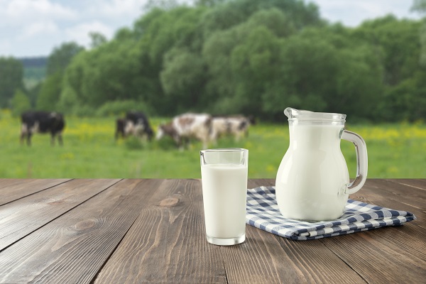 Vom Ursprung zum Kühlregal: Betrachtung über den Zusammenhang von Milchprozessierung und Kuhmilchallergie